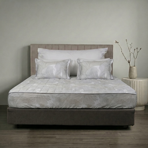 Ga chun chần mặt Bellis B66