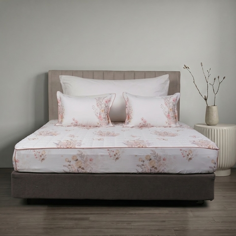 Ga chun chần mặt Bellis B67