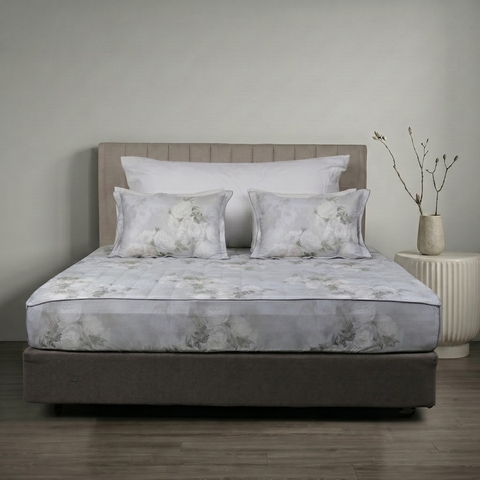 Ga chun chần mặt Bellis B71