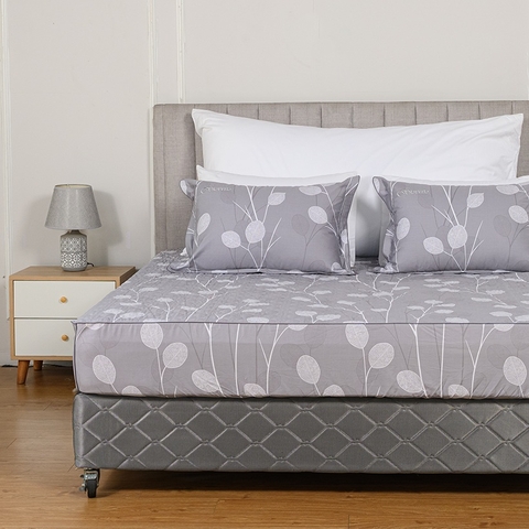 Ga chun chần mặt Melody M223