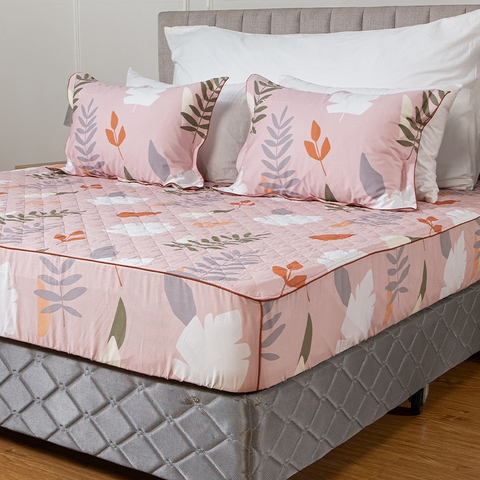 Ga chun chần mặt Melody M231