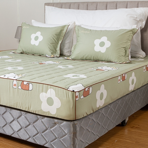 Ga chun chần mặt Melody M232