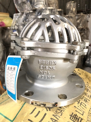 Luppe inox DN125 kết nối mặt bích