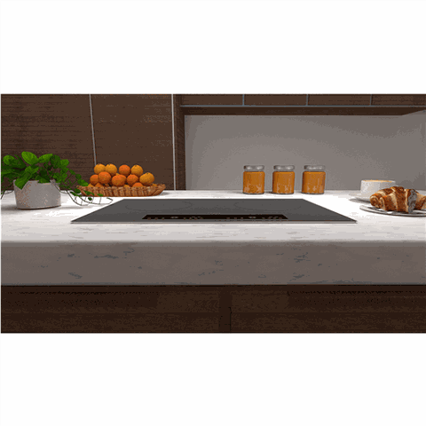 CZ 288 - Bếp điện từ cao cấp Canzy