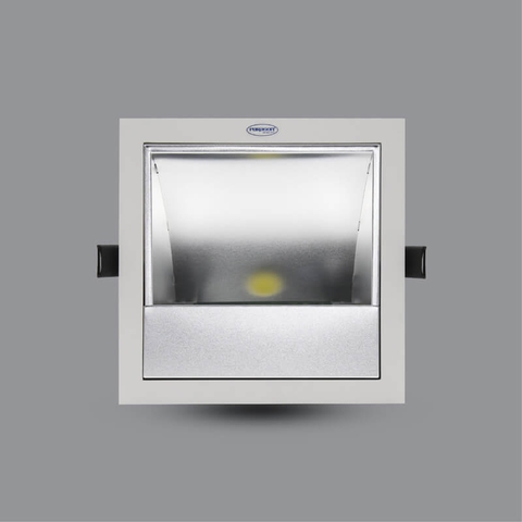 PRDXX176L20 - ĐÈN LED DOWNLIGHT CHIẾU TRANH 20W ÂM TRẦN
