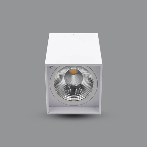 PSDLL170L20 - ĐÈN LED DOWNLIGHT 20W GẮN NỔI