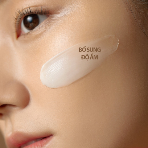 Gói Kem Mặt Nâng Cơ Chống Lão Hóa Su:m37 Fermentalift Firm Cream 1ml