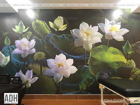 Tranh hoa sen thưc tế tại Hải Phòng