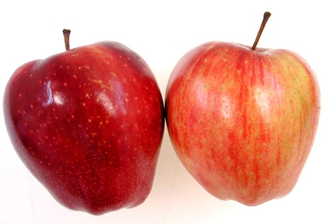 Trả 31 triệu đồng mua iPhone, nhận về hai quả táo