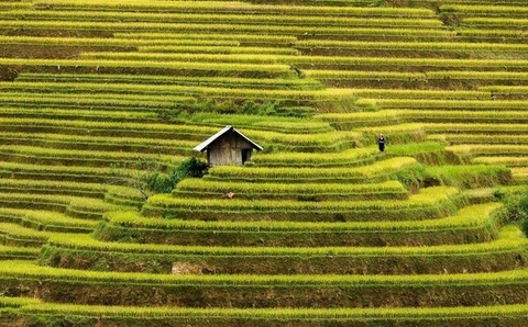 18 ngôi nhà tí hon nằm giữa những khung cảnh tuyệt đẹp