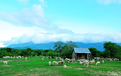 Mãn nhãn với những bức ảnh tuyệt đẹp ở Việt Nam
