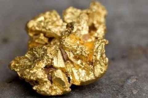 Những sự thật gây "sốc" mà bạn cần biết ngay hôm nay