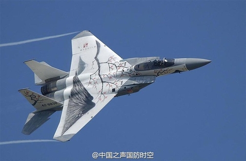 Tiêm kích F-15J sơn màu hoa anh đào tuyệt đẹp