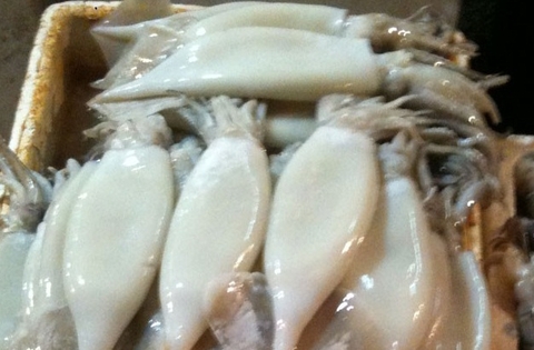 Vạch trần đường dây tẩy trắng, tiêu thụ mực bẩn