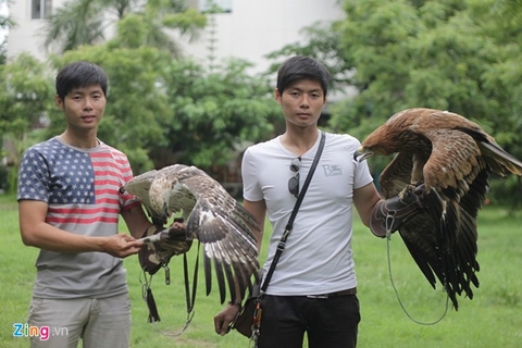 Cặp song sinh 9X nuôi đại bàng giá trên 200 triệu/con