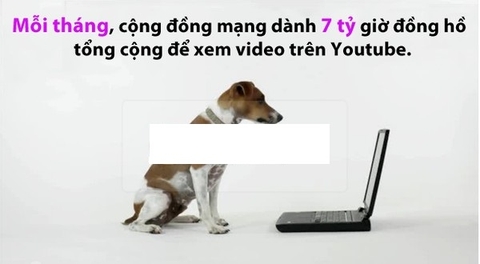 Những gì bạn chưa biết về thế giới web