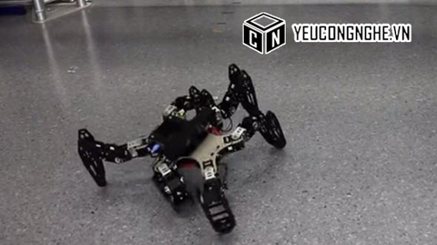 Robot gãy chân tự tìm cách đứng dậy chỉ sau chưa đầy 2 phút