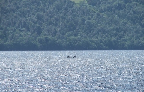 Đi tìm tung tích thật của quái vật hồ Loch Ness