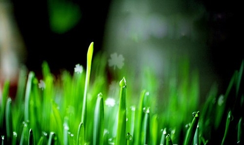 Hướng dẫn set up studio tại gia và chế lens bokeh, super macro