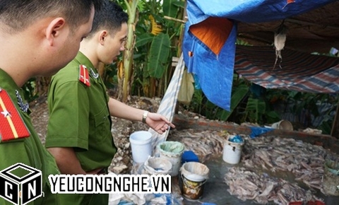 Lật tẩy công nghệ chế cá mực bốc mùi bằng hóa chất