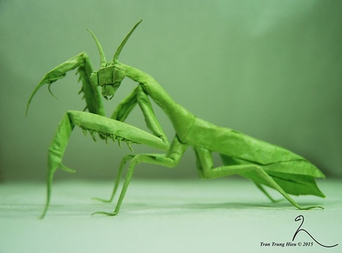 Thầy giáo Việt gấp giấy origami đẹp đến từng chi tiết