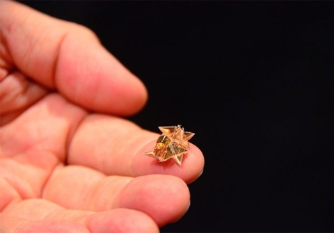 Độc đáo robot origami tí hon có khả năng biến hình và bơi lội siêu việt