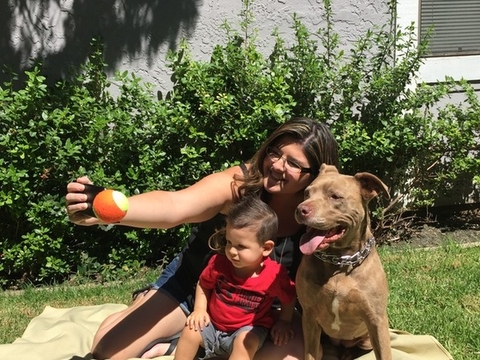 Pooch Selfie: Thiết bị chụp ảnh tự sướng phiên bản dành cho chó