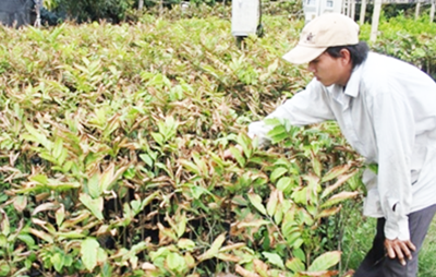 Nông dân tự chế máy lọc nước mặn thành ngọt