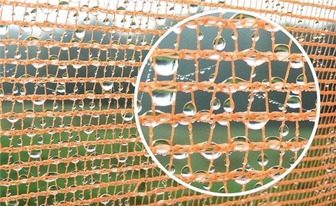 Warka water – Phát minh độc đáo giải quyết tình trạng thiếu nước sạch trên toàn thế giới