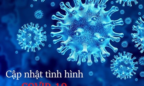Hướng dẫn cập nhật tin chính thống về Covid-19 bằng Corona.kompa.ai