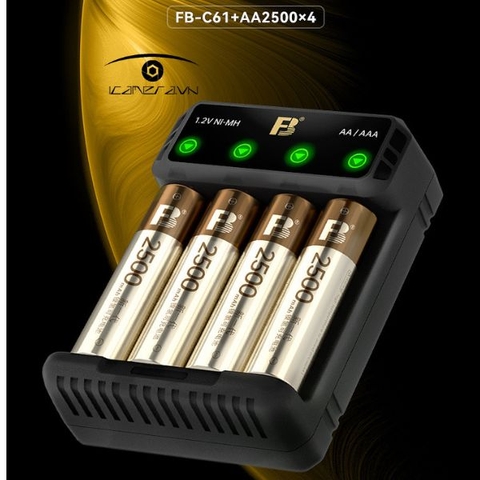 Bộ sạc pin FB-C61 kèm 4 viên pin AA dung lượng 2500mAh