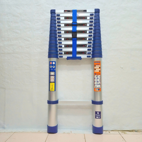 Thang rút đơn Daichi màu xanh 5.8m TDA-58X (TẶNG ỐP)