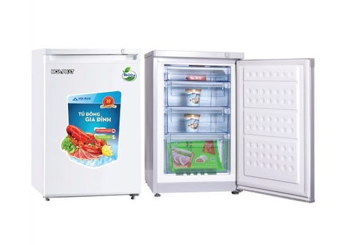 Tủ Đông Đứng HCF 116S