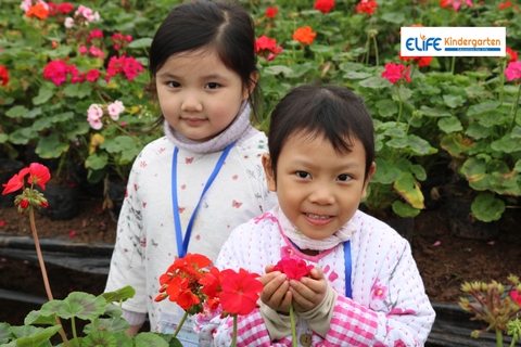 E-Life Kindergarten cùng bé yêu khám phá Vườn Đào Nhật Tân