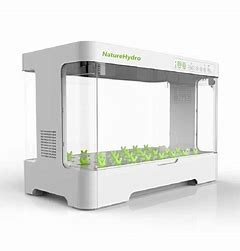 Thiết bị trồng rau thông minh