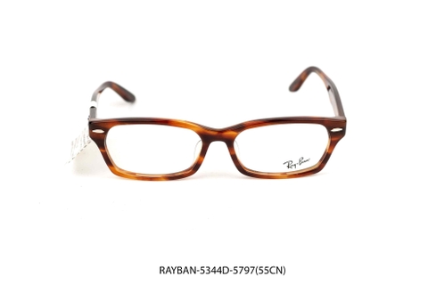 RAY-BAN-5344D-5797(55CN)