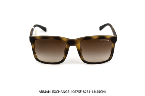 ARMANI EXCHANGE-4067SF-8231-13(55CN)
