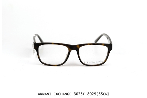 ARMANI EXCHANGE -3075F-8029 (55CN)