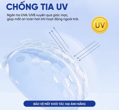 Kính áp tròng mềm SEED 1 ngày không màu