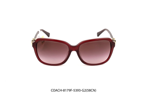 COACH-8179F-5393-G2(58CN)