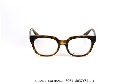 ARMANI EXCHANGE-3061-8037 (51BR)