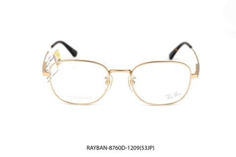 RAY-BAN-8760D-1209(53JP)