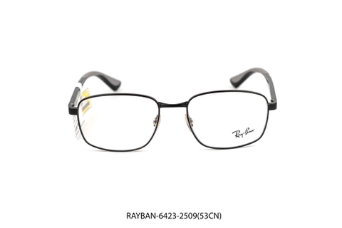 RAY-BAN-6423-2509(53CN)