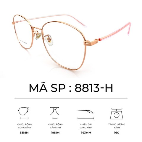 GỌNG KÍNH HỢP KIM SIÊU NHẸ THỜI TRANG - 8813