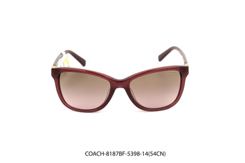 COACH-8187BF-5398-14(54CN)