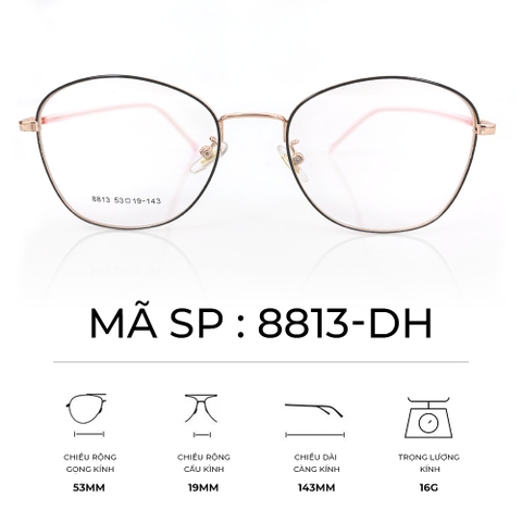 GỌNG KÍNH HỢP KIM SIÊU NHẸ THỜI TRANG - 8813