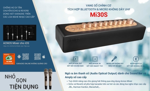 Bộ Vang Số Chỉnh Cơ Tích Hợp Micro Acnos MI30S