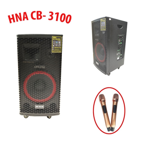 Loa Kéo Di Động 3 Tấc HNA CB-3100