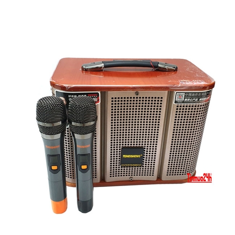 Loa Karaoke Di Động Temeisheng GD06-39