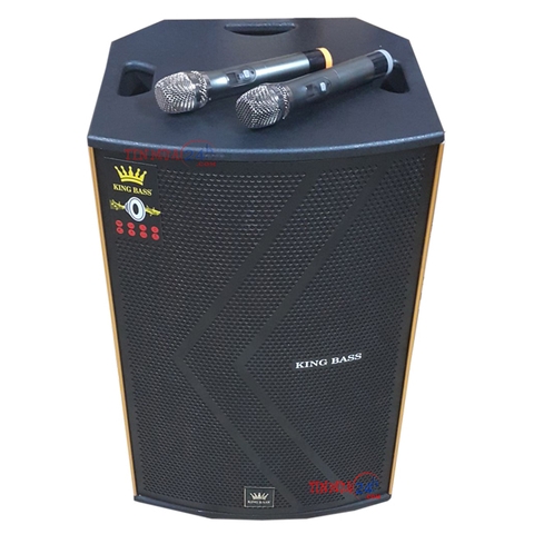 Loa Kéo Karaoke Di Động KingBass BN1539